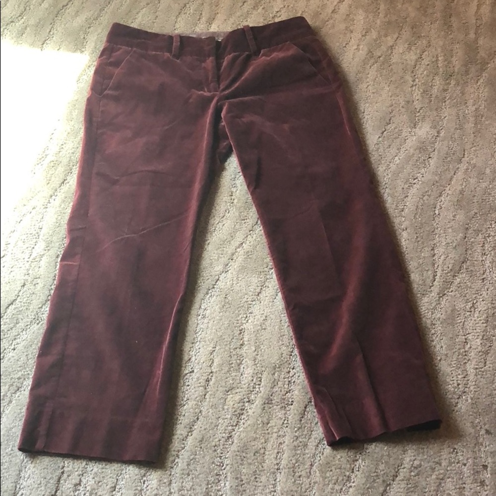 Velvet Anthropologie Louie pants